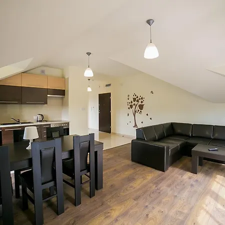Dworki Borowego Apartment