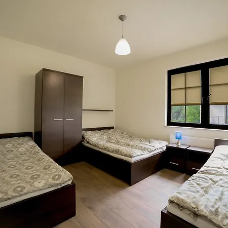 Apartment Dworki Borowego *