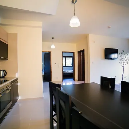 Dworki Borowego Apartment Krakow